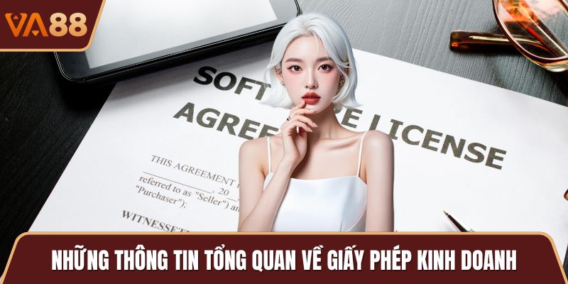 Những thông tin tổng quan về giấy phép kinh doanh